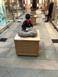 Dítě hmatem zkoumající amonit (Titanites giganteus) - Doteková prohlídka (Touch Tour)